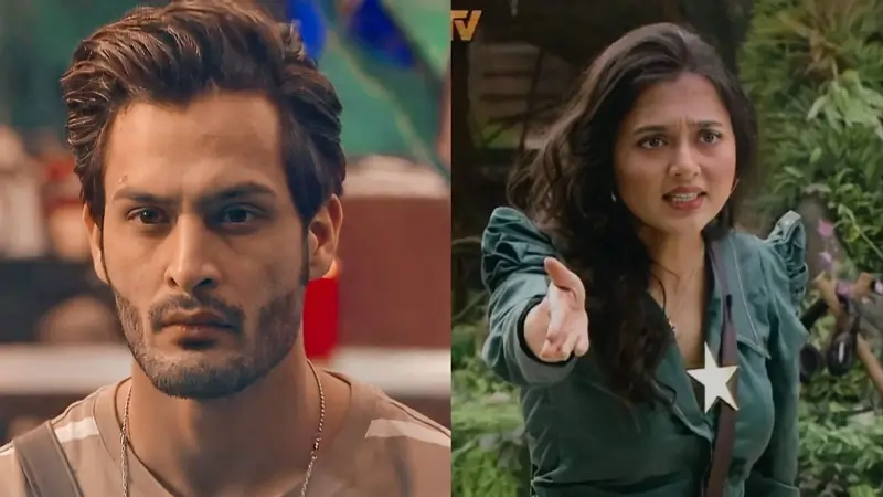 Umar and Tejasswi