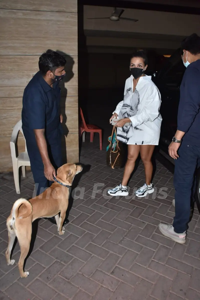 Celebrities spotted in the city today 