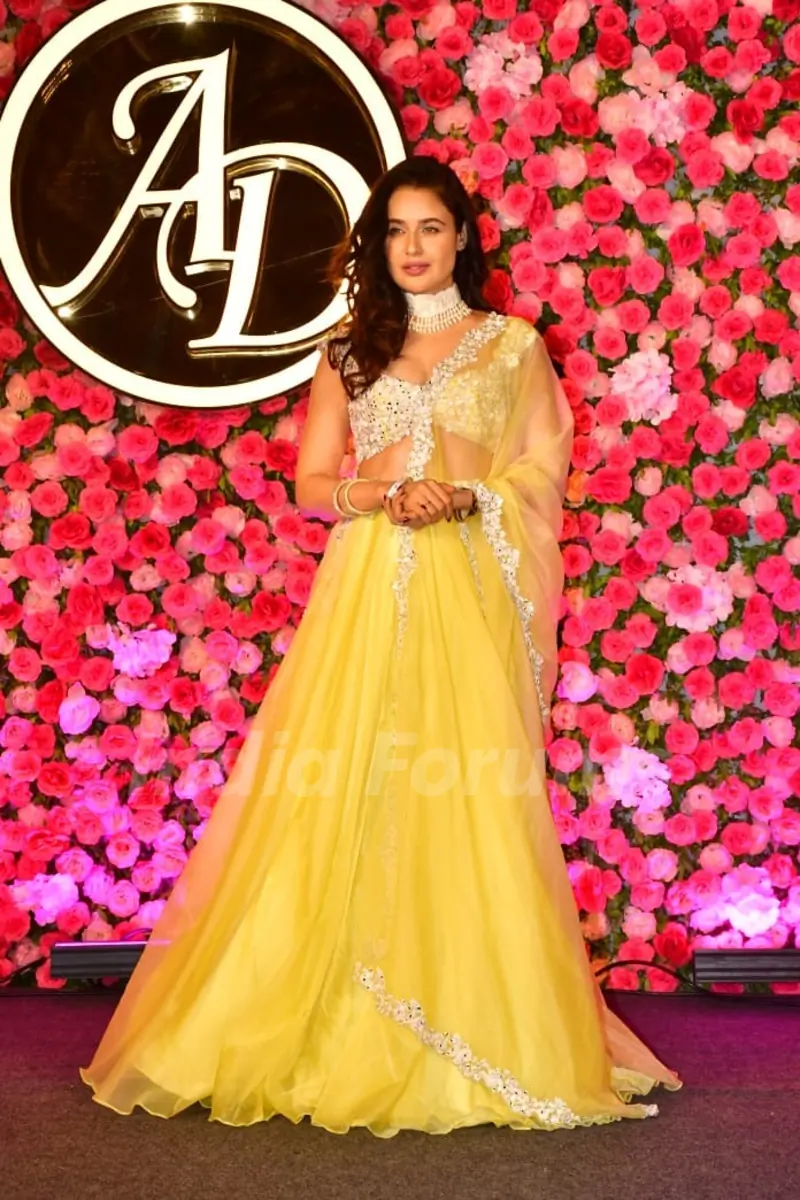 Yuvika Chaudhary attend Aarti Singh's Sangeet ceremony