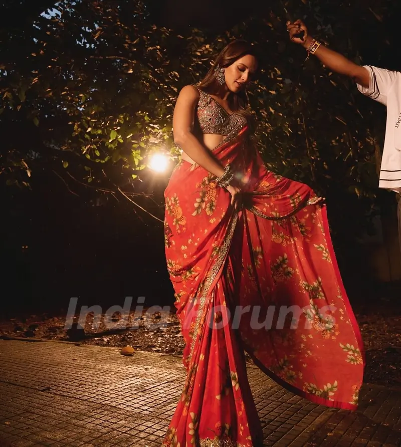 Triptii Dimri's Saree Look