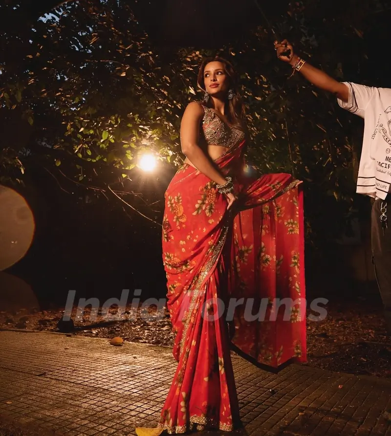 Triptii Dimri's Saree Look