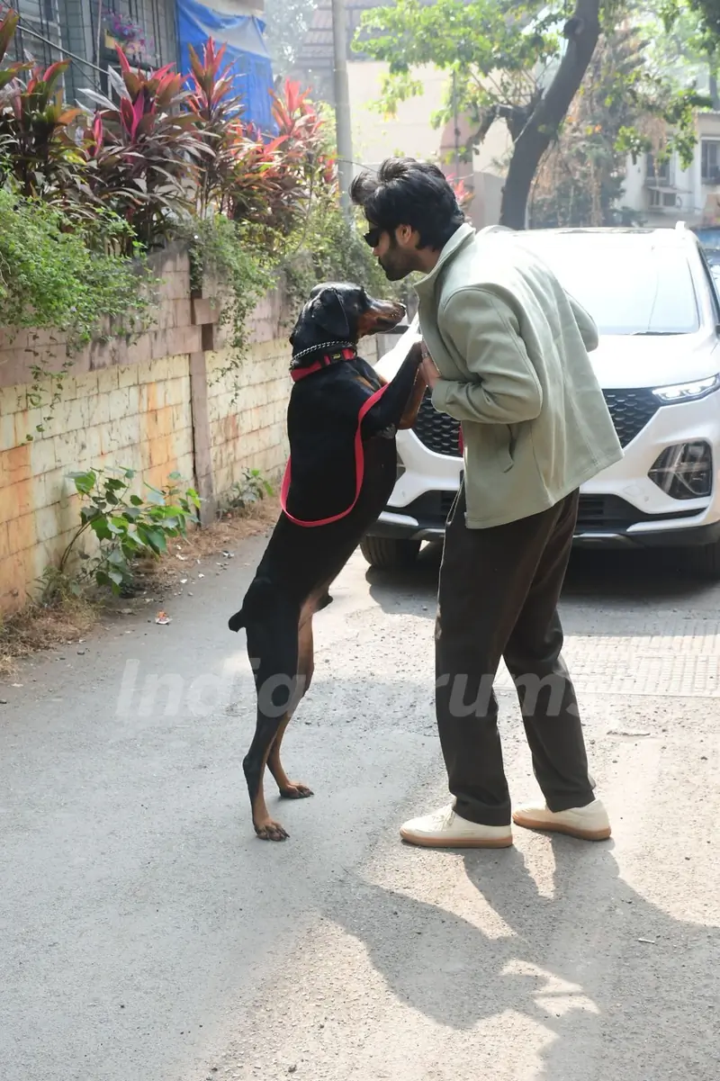 Aman Devgan snapped promoting their film 'Azaad'