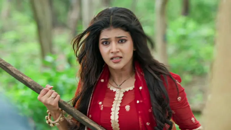 Samridhii