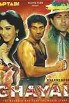 Ghayal poster