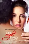 One Night Stand poster