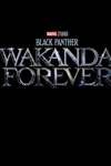 Black Panther: Wakanda Forever Poster