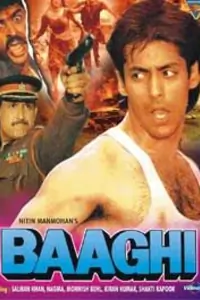Baaghi (1990) Thumbnail