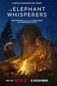 The Elephant Whisperers