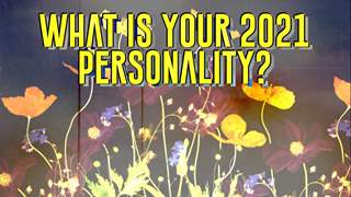 What Is Your 2021 Personality?
