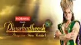 Dwarkadheesh - Bhagwaan Shree Krishna Poster