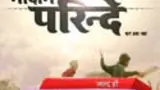 Nadaan Parinde Ghar Aaja poster