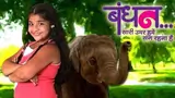 Bandhan...Saari Umar Humein Sang Rehna Hai poster