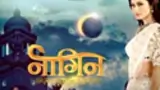 Naagin poster