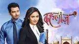 Dahleez poster