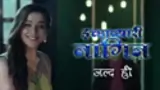 Ichhapyaari Naagin poster