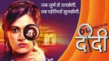 Detective Didi poster