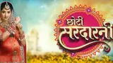 Choti Sardarni Poster