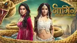 Naagin 4 Poster
