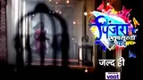 Pinjara Khubsurti Ka Poster