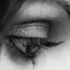 tarana08 thumbnail