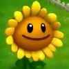 -sunflower- thumbnail