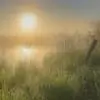 .SSSS. thumbnail