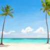 WanderingWonder thumbnail