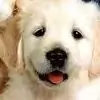 sudha_suressh thumbnail