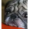 Nachiketj thumbnail