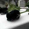 Black.Rose07