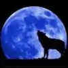 BlueMoon8 thumbnail