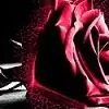 wickedlyunique thumbnail