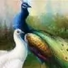 KANIMALARMO thumbnail
