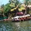 sanoniti thumbnail