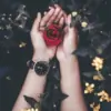 Roselada thumbnail