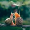 Abinaya_24 thumbnail