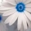 aaliyaoberoi thumbnail