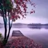 Nivedita137 thumbnail