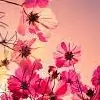 ArpitaSingh1806 Thumbnail