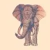 dhrishti_ Thumbnail