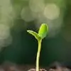 megha_s thumbnail