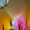lizzy1299 thumbnail