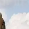 Dinali thumbnail