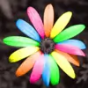 Payal_ap thumbnail