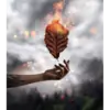 Angrygirl thumbnail