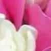 glikita thumbnail