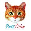 petstube thumbnail