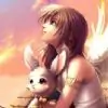 papillon07 thumbnail