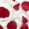 Pranb thumbnail