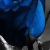 Khushiamaan77 thumbnail